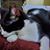 Richard Corris's profile image