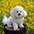 Bev Thompson's profile image