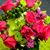 Nancy Kirsch-Wills's profile image
