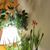 Carol Crandall's profile image
