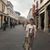 Ming Cheung's profile image