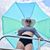 Timi Rutledge's profile image
