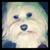 Anna Maria Talamantes's profile image