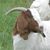 Rebecca Jeffery's profile image