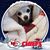 Janet Shinkle Moody's profile image