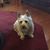 Dorothy Kollmeyer's profile image