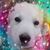 Blair Hamilton's profile image