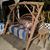 Robbi Tomsen's profile image