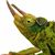Jonathan Mills's profile image