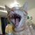 Leah Carter's profile image