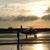 Steve See's profile image