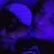 Domo Woods's profile image