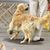 Deb Stoll's profile image