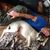 Pamela Rhoads's profile image
