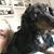 Lisa Marshall's profile image