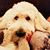 A Lou Retsof's profile image