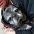 Theresa Erdman's profile image