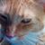 Margaret King's profile image