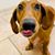 Cortnee N Steve Gertsch's profile image