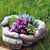 Sharon Willits's profile image