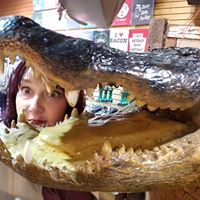 Liz Smith's profile image