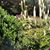 Oberstadt Landscapes's profile image