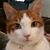 Dori Rogers's profile image