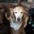 Bonnie Neumann's profile image
