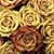 Sara Olivares Velarde's profile image