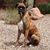 Jackie Morissette Brunet's profile image
