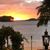 Sharon Cline Arrowood's profile image