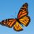 Katy Johnston's profile image