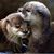 Yvette Carrano's profile image