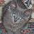 Arthur Robillard's profile image