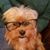 Laura DeLay Santiamagro's profile image