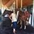 Michelle Budinger Maresh's profile image