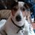 Jo Peters's profile image