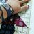 Allison Elliott Ferrier's profile image
