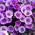 Jana Whitaker's profile image