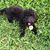 Shirley Whitcomb's profile image