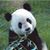 Michele Ann Sanders Frank's profile image