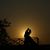 Jay Desai's profile image