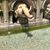 Tanya Del Priore's profile image