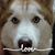 Janet Blemaster Spors's profile image
