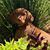 Mark McCrary's profile image