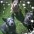 Dawn Miller Engeling's profile image