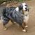Kirk Clute's profile image