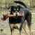 Kim E. Wolfe Moyer's profile image