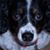 Blain Moncrief's profile image