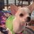 Dorothy Sloan's profile image